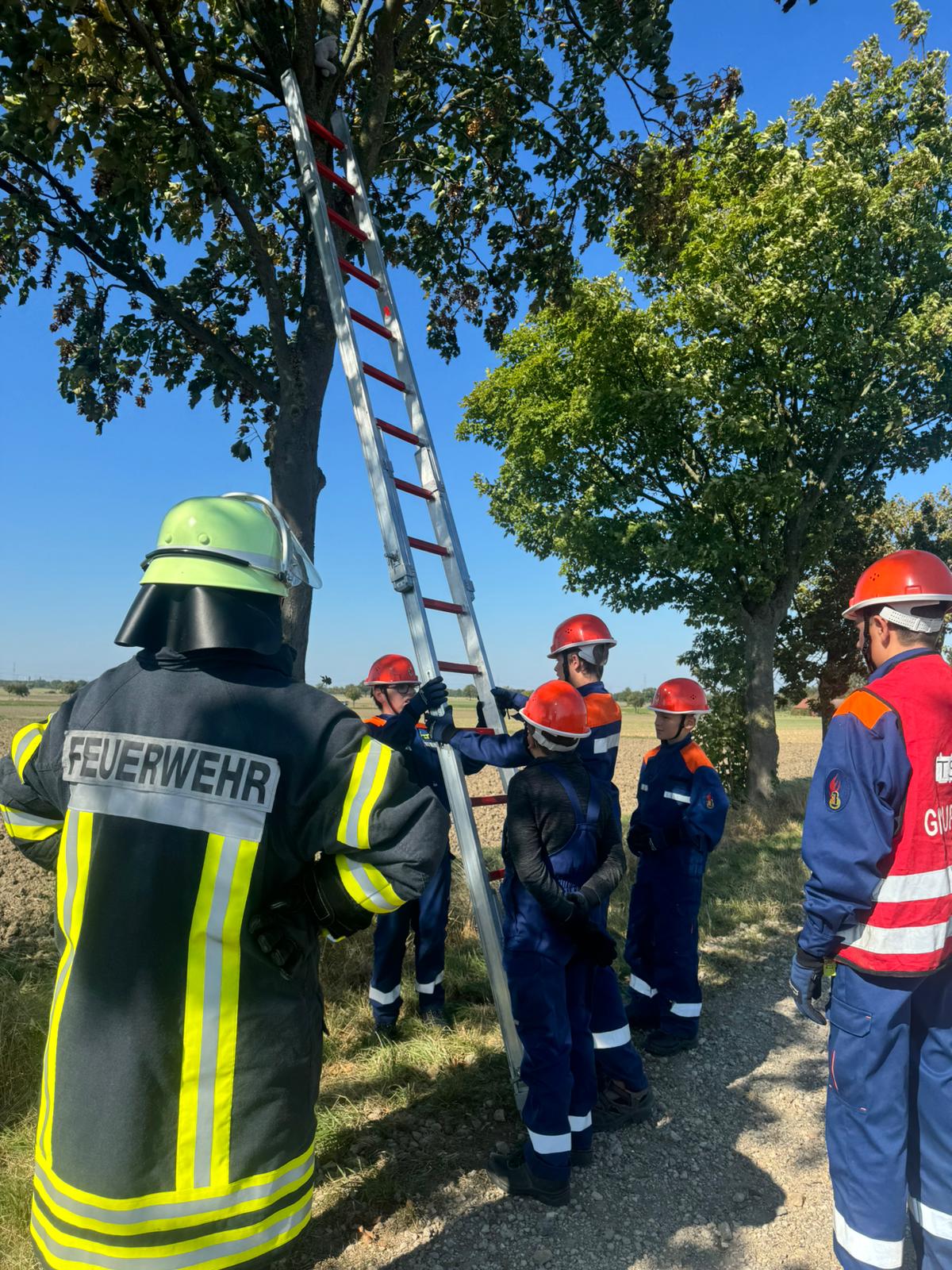 Rettung einer Katze vom Baum