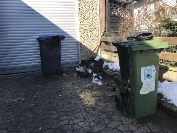 2018_03_19_mlltonnenbrand_brennecke1