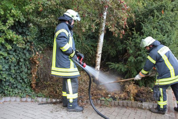 2018_10_09_heckenbrand_haupt1a