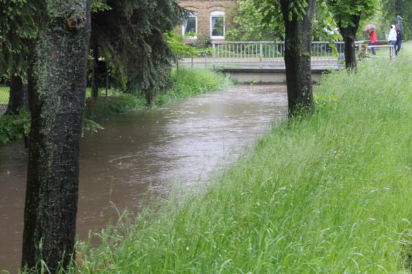 2013_05_26_hochwasser_gemhohenhameln_haupt2a